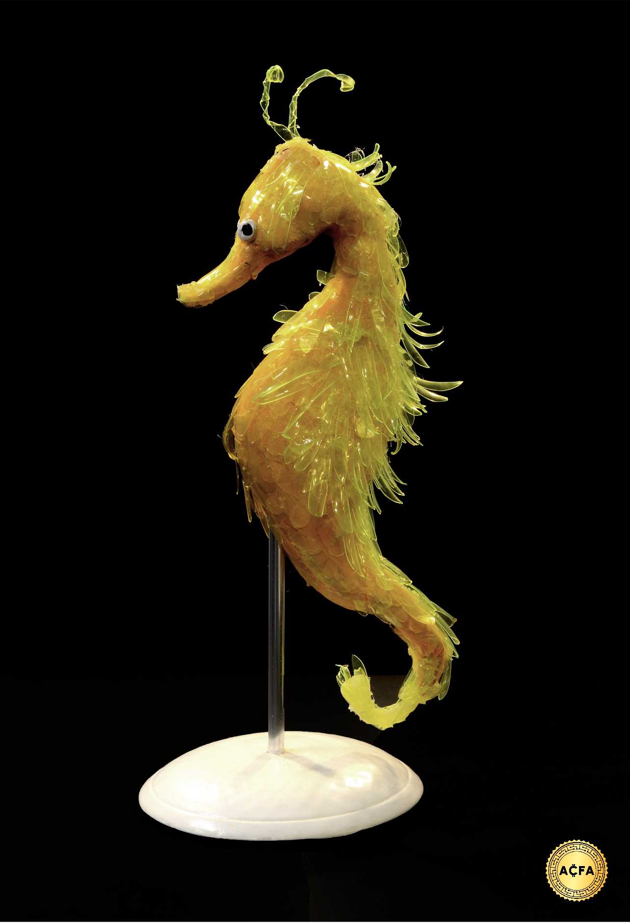 L’hippocampe lumineux 